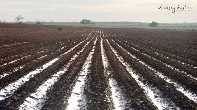 FullSizeRender (13) new